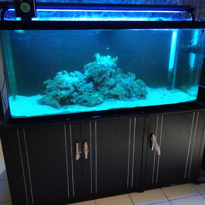 aquarium laut full set 150cm x 60cm x 50cm include chiller hailea