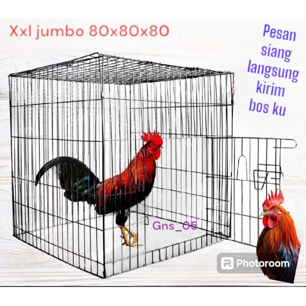 ORIGINAL Sangkar Kandang Besi Kotak Kurungan Ayam Jago Laga Aduan Petarung Kurungan Ayam Galvanis Ko
