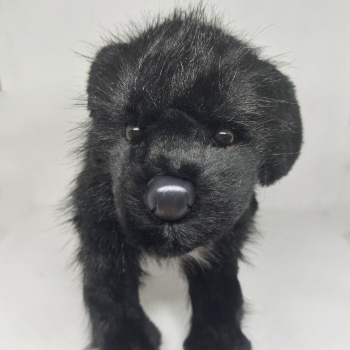 Boneka Anjing nd Douglas