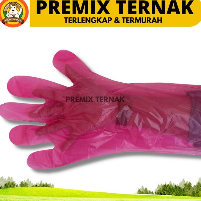 GLOVE IB SARUNG TANGAN IB 5 JARI 1 PACK (50 Pcs) - GLOVE IB INSEMINASI