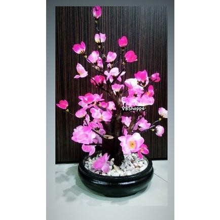 

Bonus Gantungan Angpao Pohon Imlek Sakura Mehwa Meihua 35Cm Pot Bonsai Original
