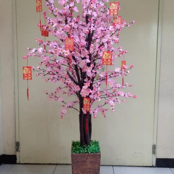 

Pohon Bunga Imlek Meihua Angpao Sincia Sakura 175 Cm 2 M Besar Tinggi Original