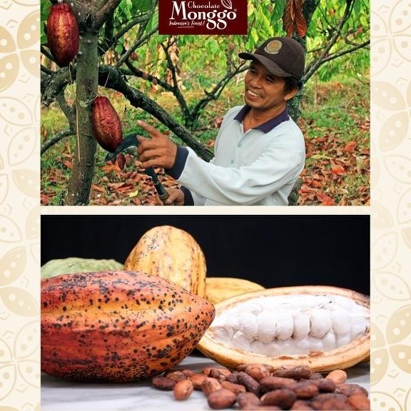 

Grosir Chocolate Monggo | Pralin Coklat Exclusive Box 16Pcs | Gift Coklat