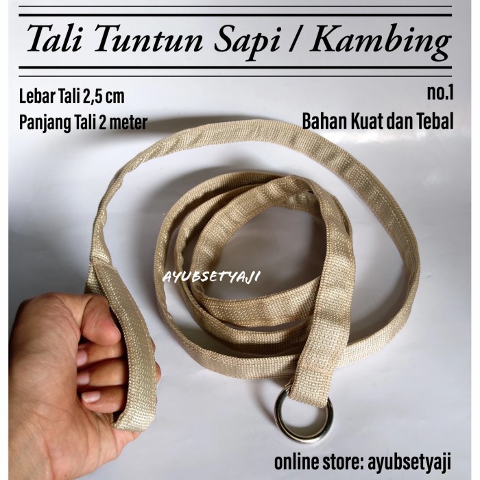 My Tali Tuntun Sapi Kambing No1 Hewan Muda Kalung Sapi Brangus Sapi Head