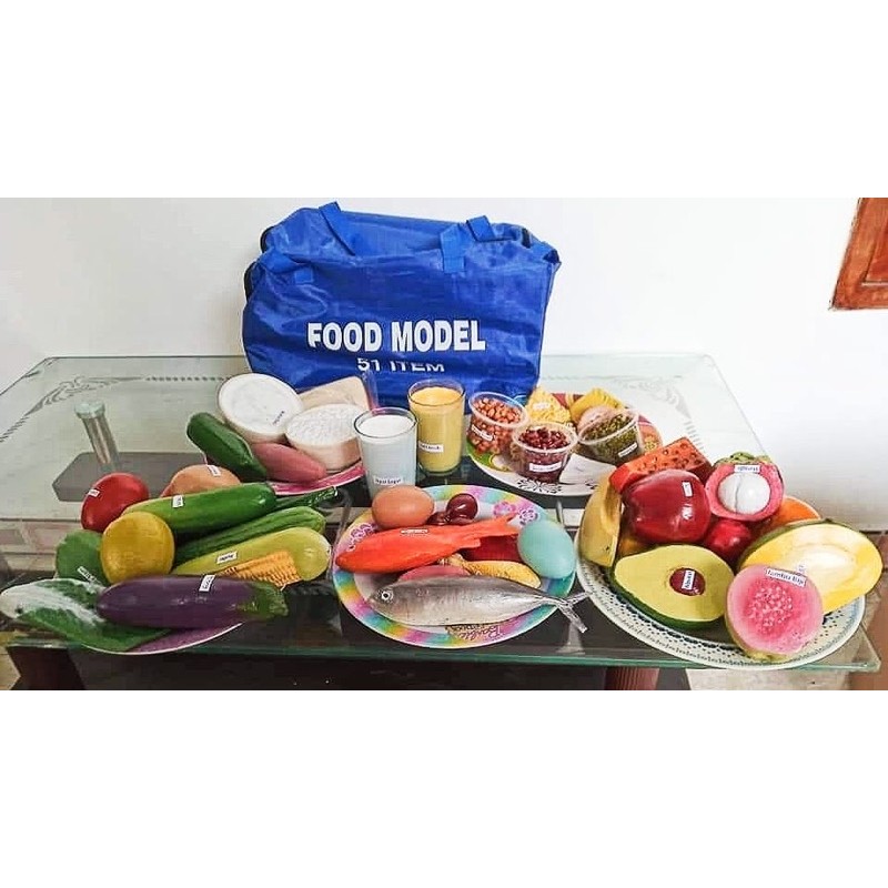 FOOD MODEL 51 item peraga pendidikan edukasi gizi
