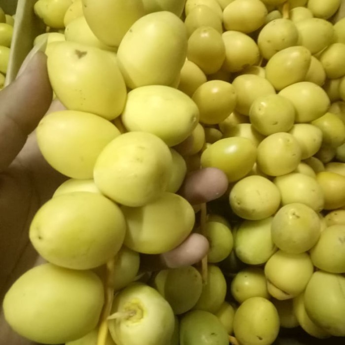 

Kurma Muda Kuning Segar Bkn Frozen 1Kg