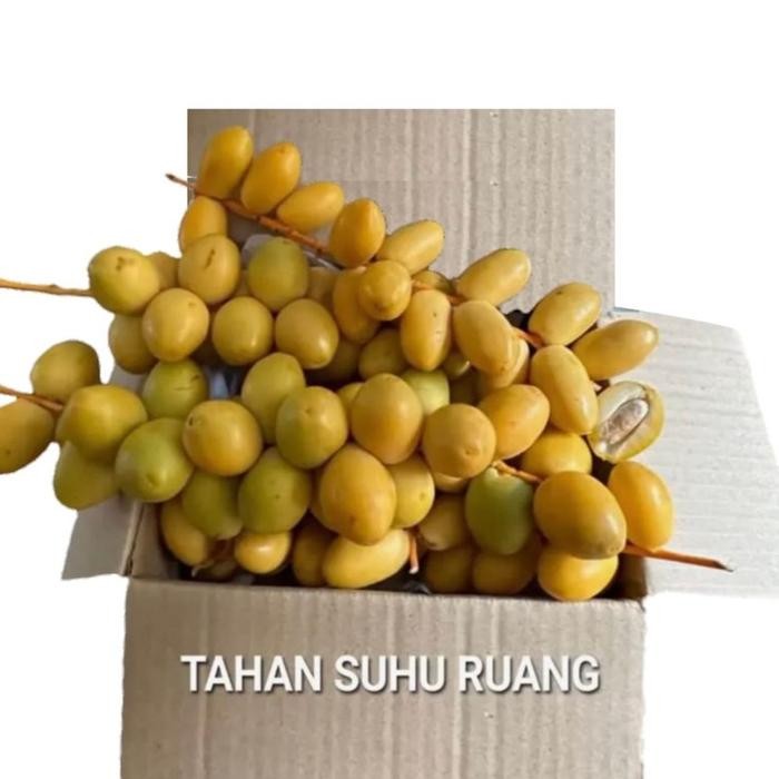 

Kurma Muda Bahre Rasa Manis Tahan Disuhu Ruang
