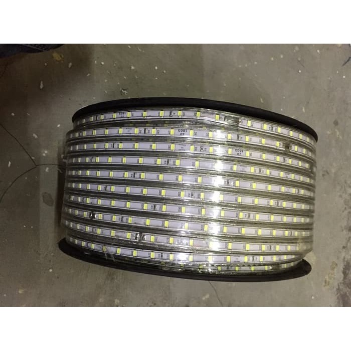 Grosir Led Strip Selang Kotak 5050 220V Warm White