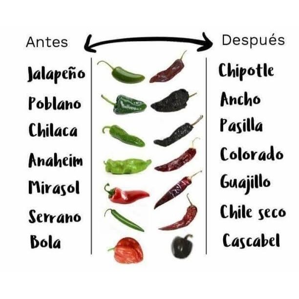 

terbaru !!! dried mulato chiles (chile seco) retail and bulk ready