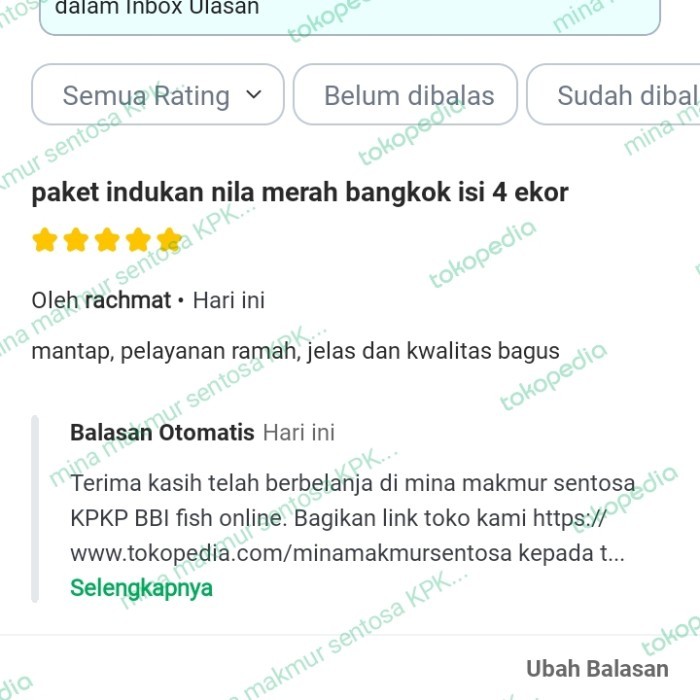 Paket Indukan Nila Merah Bangkok Isi 4 Ekor