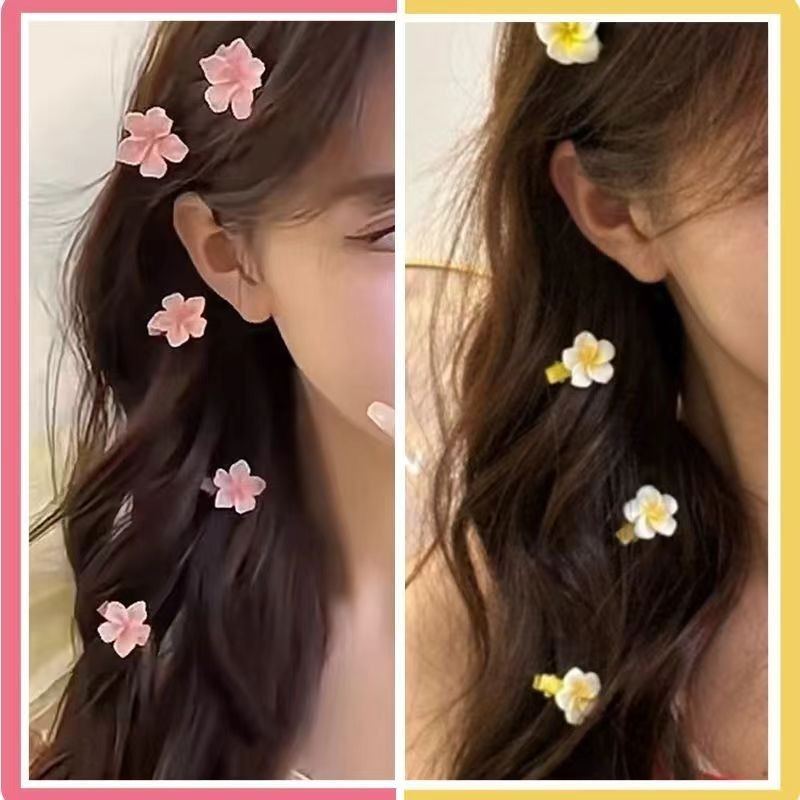 Jepit Rambut Bunga Sakura Merah Muda Manis Klip Foto Plumeria Rubra