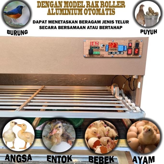 MESIN PENETAS TELUR FULL OTOMATIS kap 100 butir