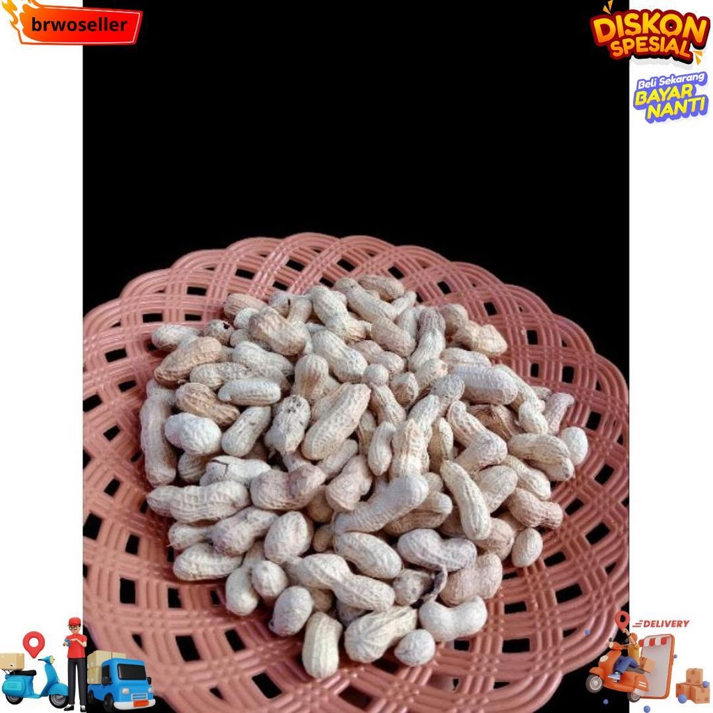 

Kacang Kulit Asin, Kacang Oven Asin, Kacang Asin Kemasan 3Kg, Kacang Kulit, Snack Cemilan/ Kacang Super D Gratis Ongkir