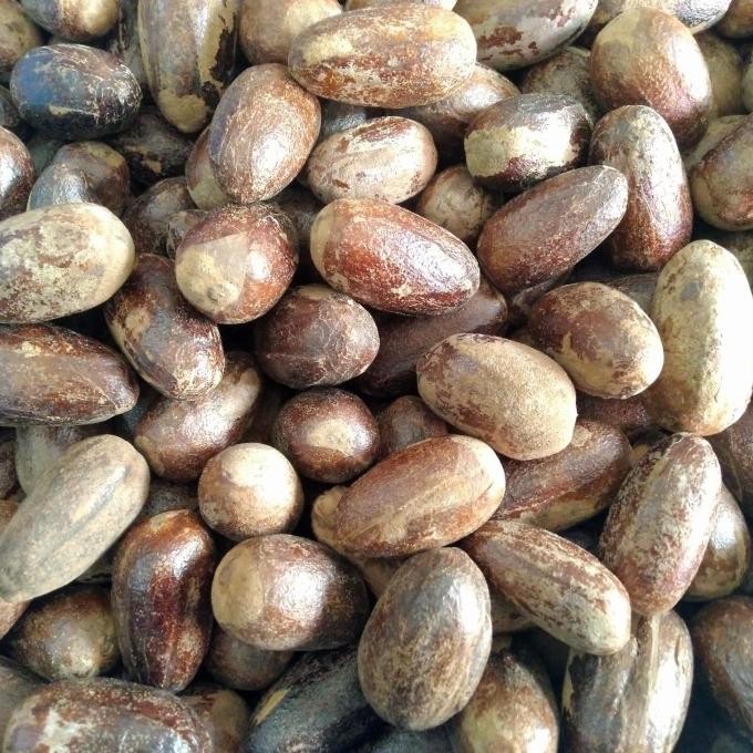 

Biji Pala Kering utuh 500gr / Biji Pala Lonjong Kering