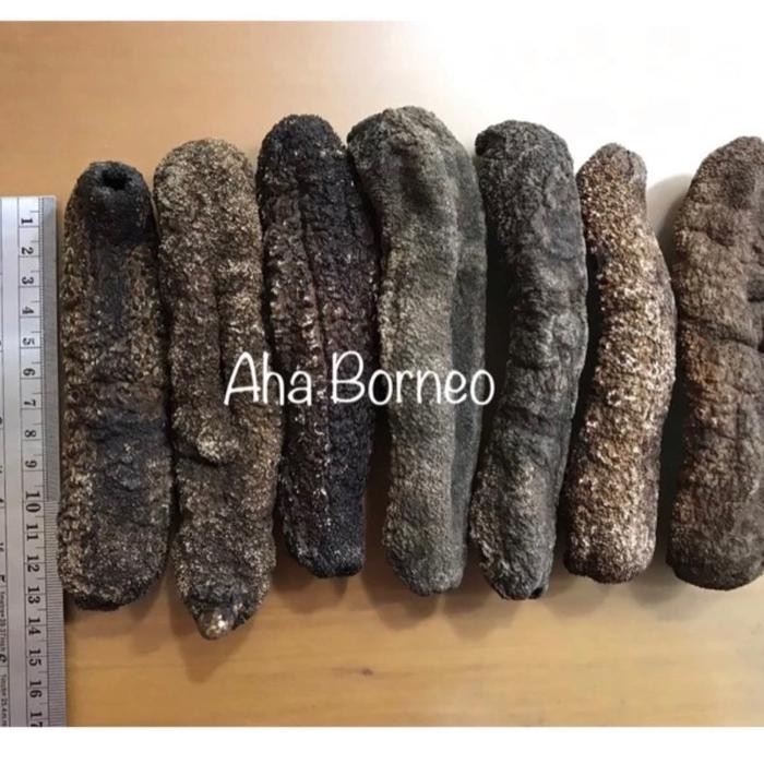 Terbaru Hoi Sem Kering / Gamat Bintik / Teripang / Tripang / Bintiksem 300 gr / Hoisem Ready