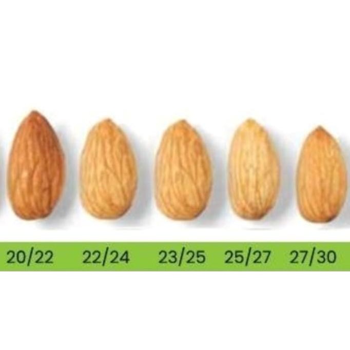 

1000Gr Roasted Almond Premium - Kacang Almond Panggang Kupas - Oven