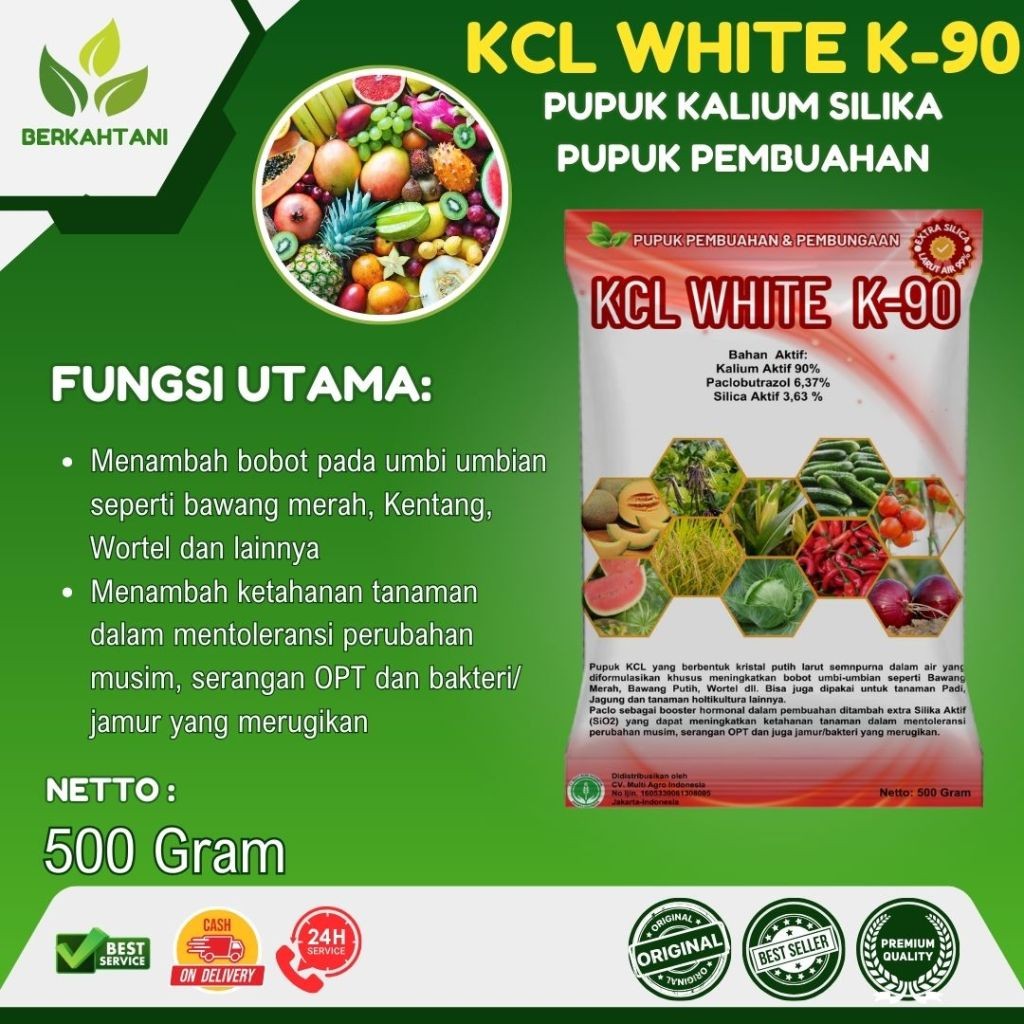 KCL White K90 500 Gram Pupuk Pembuahan Kalium Silika plus Paclobutrazol