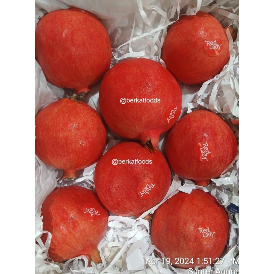 

cusss order] Pomegranate Fruit / Anar India / Indian Anaar Import / Buah Delima Impor
