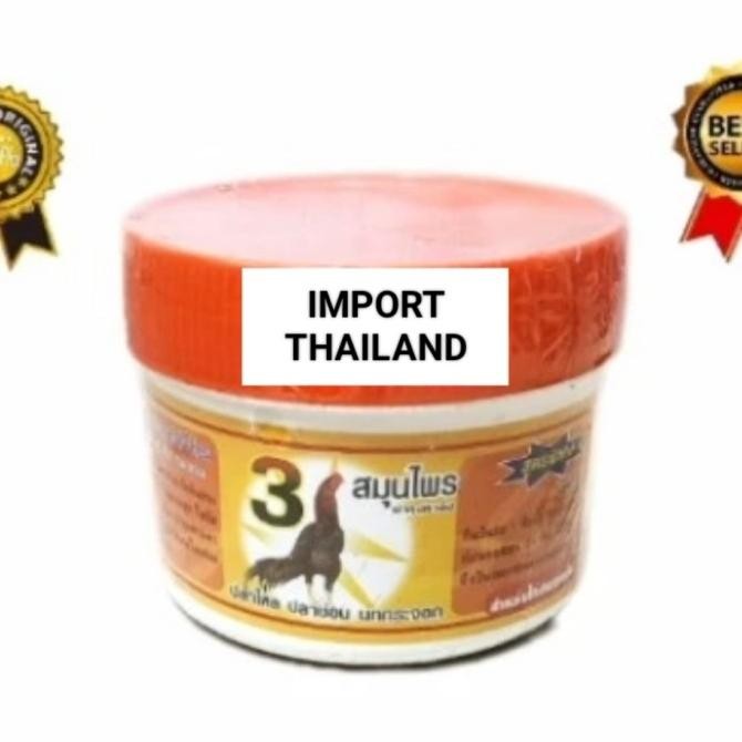

READY KAMLANG BASAH AYAM KAMLANG OREN KAMLANG ORANGE AYAM JAGO TARUNG LAGA