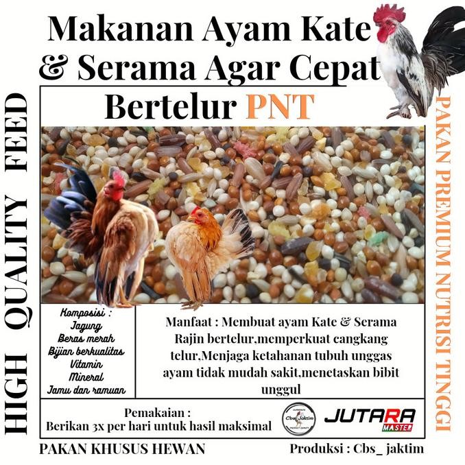 READY MAKANAN AYAM KATE/SERAMA AGAR CEPAT BERTELUR/PAKAN BERTELUR