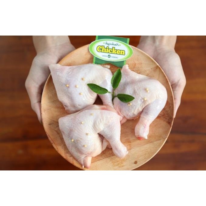 

READY PAHA UTUH AYAM ORGANIC PROBIOTIK BERKAH CHICKEN