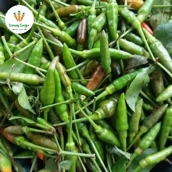 

Cabe Lombok Merica Kecil Hijau Segar - 100gram