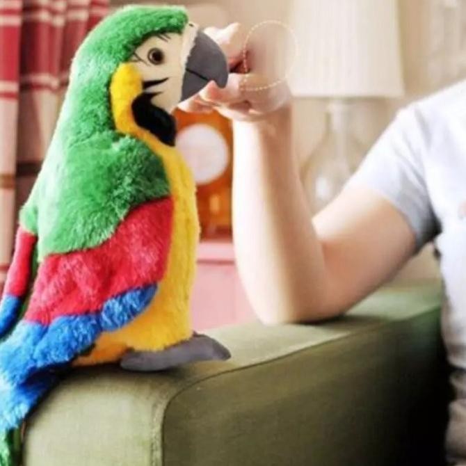 Ready Mainan Anak Burung Berbicara , Smart Talking Bird Beo - Funny Bird Beo