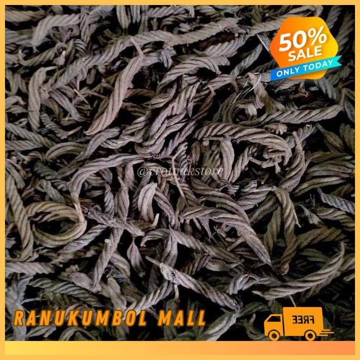 

KAYU PUTERAN JAMU HERBAL KAYU ULES KAYU ULES 1KG RANU KUMBOL MALL KUALITAS TERBAIK!