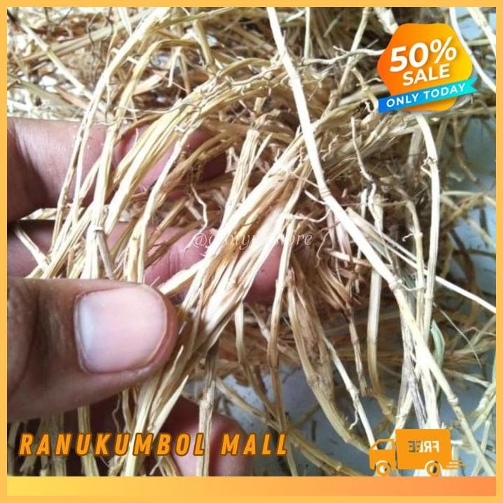 

KERING 100 GRAM AKAR ALANG ALANG RANU KUMBOL MALL KUALITAS PRODUK TERBAIK!!