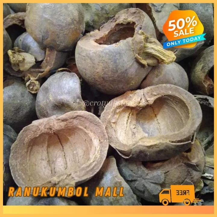 

1KG HERBAL KULIT BUAH MANGIS MANGGIS KERING KULIT MANGGIS KERING RANU KUMBOL MALL KUALITAS TERBAIK!!!