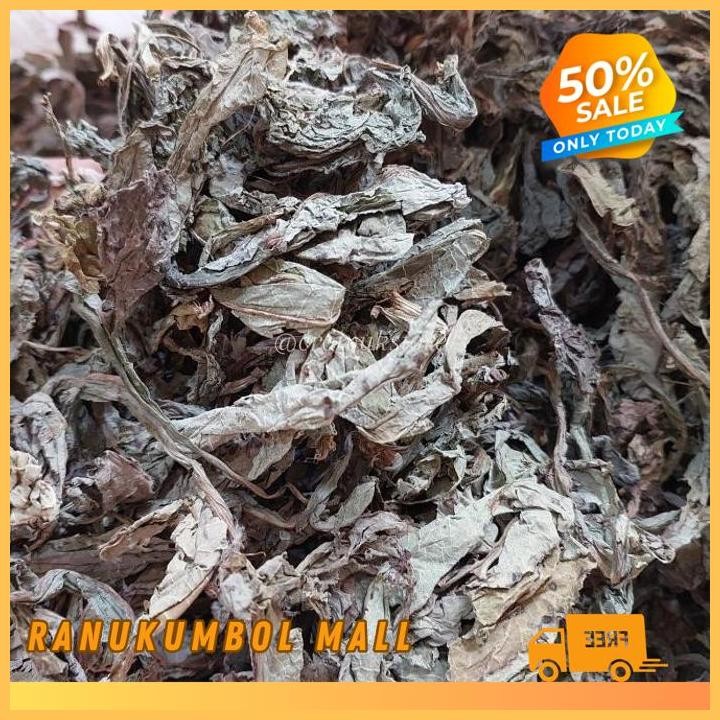 

ASLI 100GR DAUN TEMPUYUNG KERING RANU KUMBOL MALL TERBAIK!