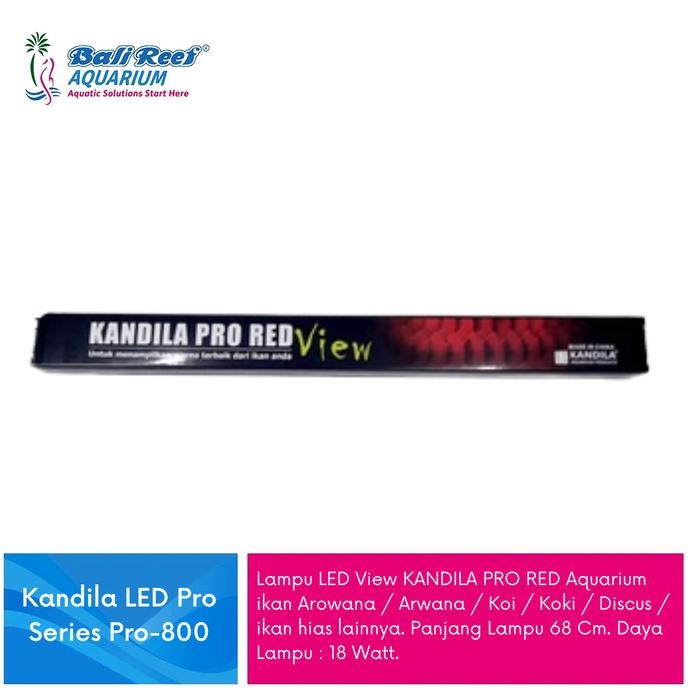 Kandila Lampu Tanning Arwana Super Red Pro Red View