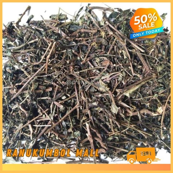

500GR DAUN SAMBIROTO KERING DAUN SAMBILOTO KERING RANU KUMBOL MALL PRODUK PILIHAN!!!