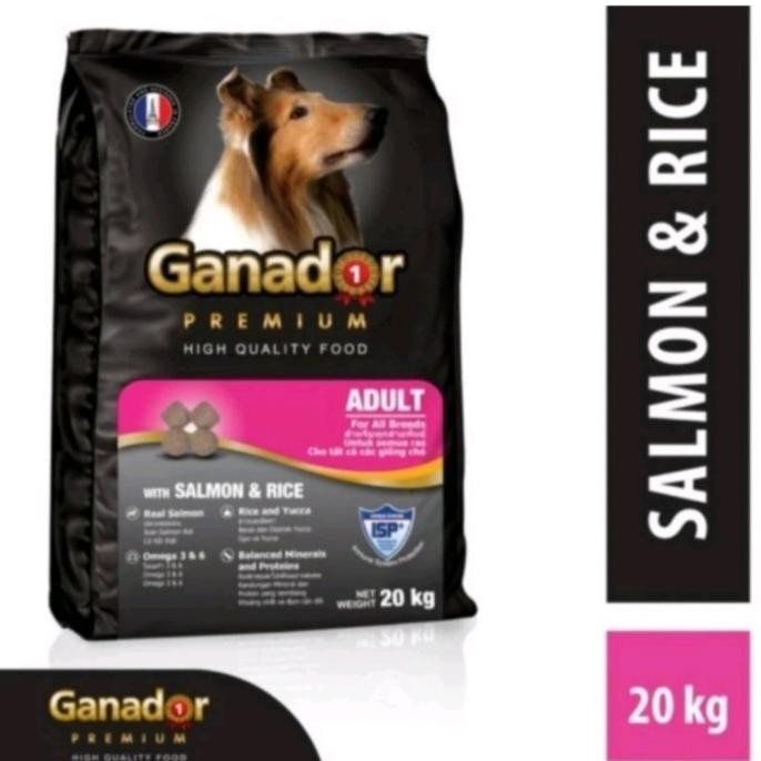 dogfood ganador salmon 20 kg