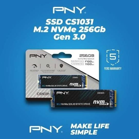 TERMURAH - PNY M2 SSD 2280 CS1031 NVME 1.3 256GB