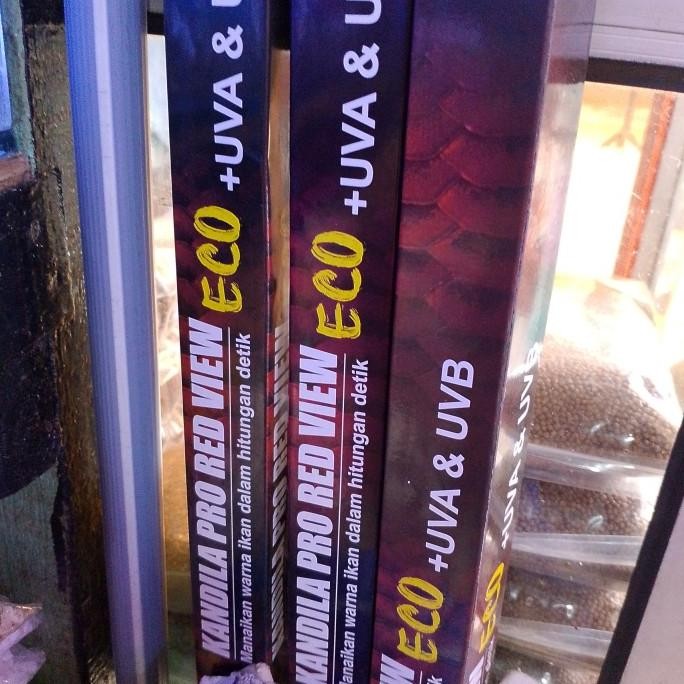 Sale Lampu Kandila Pro Red View Eco 800 1000 1200 80Cm 100Cm 120Cm