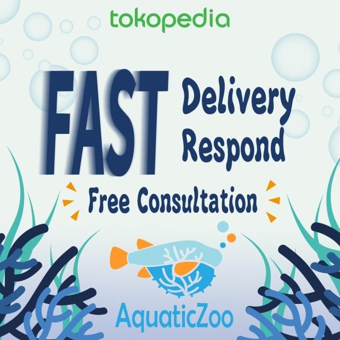 Sale Mayin Tanning 2700K Illuminate Lamp Lampu Tanning Mayin Arowana Arwana