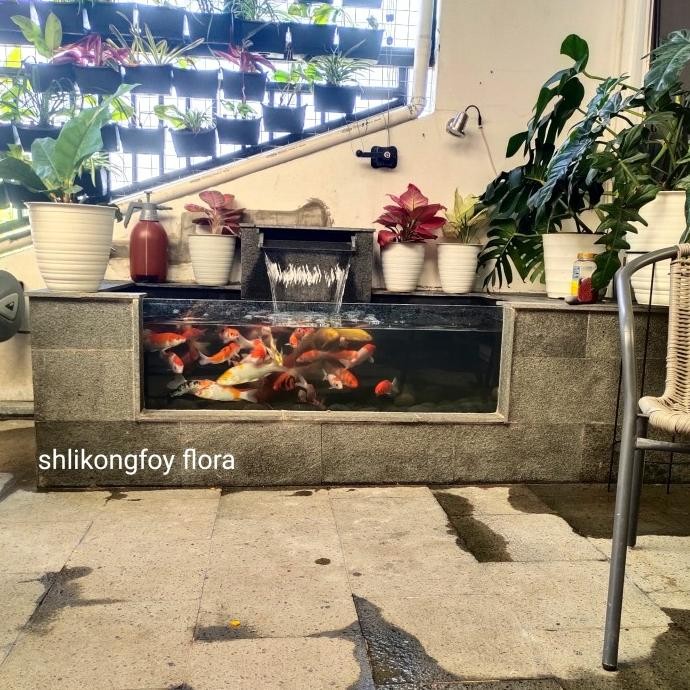 Murah Kolam Koi/Kolam Air Terjun/Kolam Ikan Minimalis