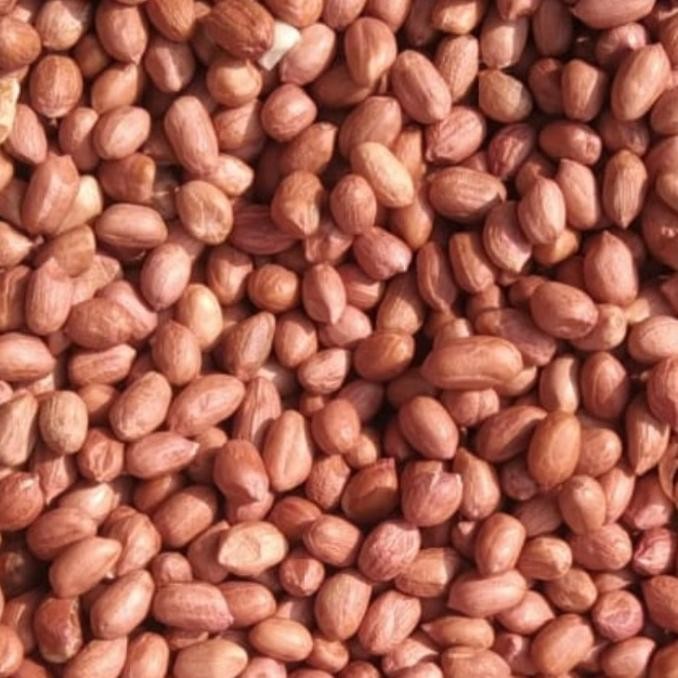 

(Good) Kacang Tanah Mentah