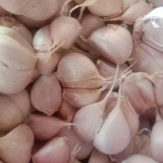 

bawang putih kating premium( siung besar ) murah
