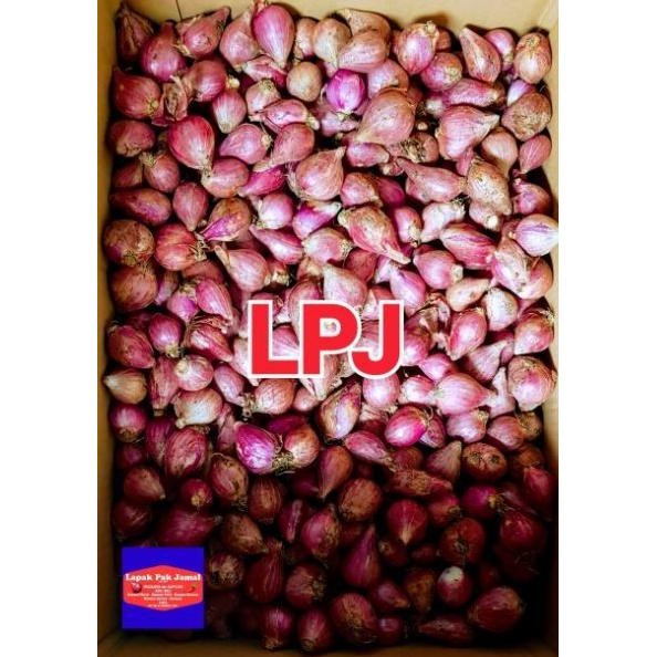 

Bawang Merah Lokal Super - LPJ murah
