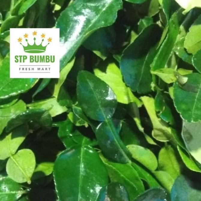 

Daun Jeruk Purut Segar 1kg - Grosir murah