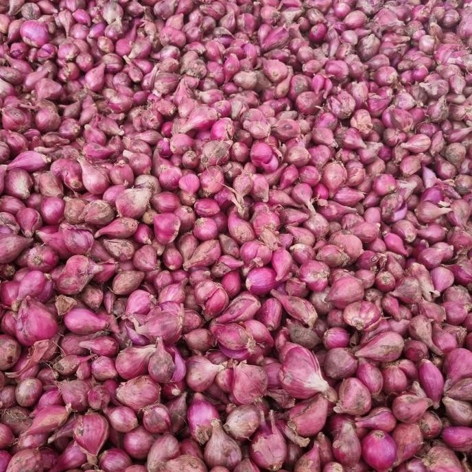 

bawang merah 1 kg murah
