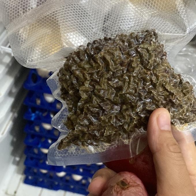 

Andaliman Segar Rempah Batak murah