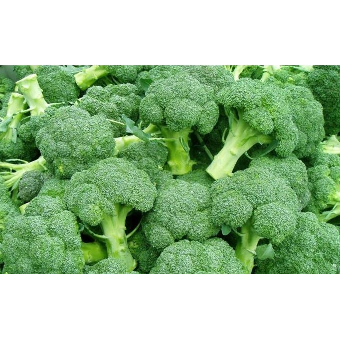 

Benih / Bibit / Biji - Brokoli / Broccoli F1 Hybrid murah