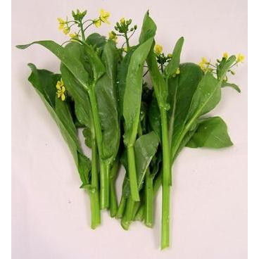 Benih / Bibit / Biji - Sawi Bunga Caisim Hongkong (Choy Sum) - IMPORT murah