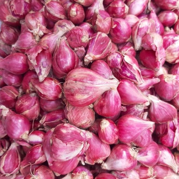

Bawang Merah Brebes Besar 1 Kg (Promo) murah