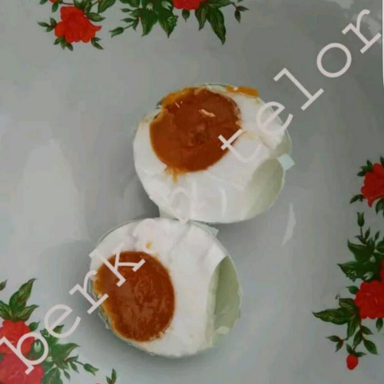 

Ryu-56 Telur Asin Masir / Telor Asin Masir Matang