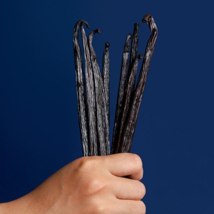 

Vanilla Beans Planifolia GRADE A Gourmet (Biji Vanila 100% ORGANIK) murah