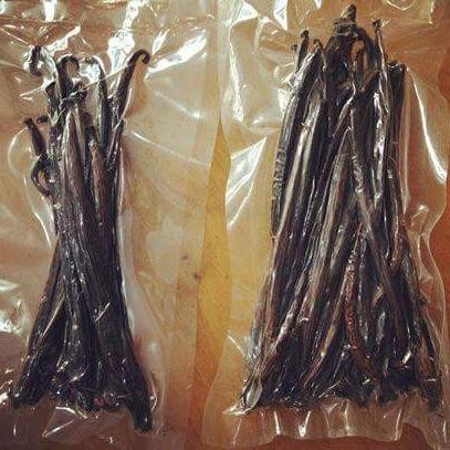 

Vanilla bean / batang vanilla 10gr pack murah